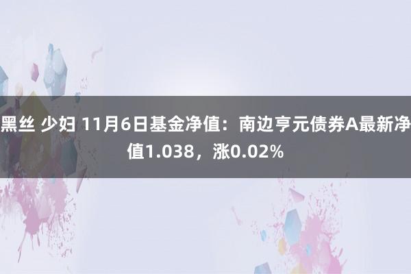 黑丝 少妇 11月6日基金净值：南边亨元债券A最新净值1.038，涨0.02%