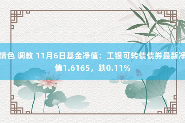 情色 调教 11月6日基金净值：工银可转债债券最新净值1.6165，跌0.11%