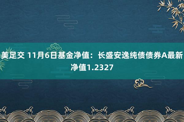 美足交 11月6日基金净值：长盛安逸纯债债券A最新净值1.2327