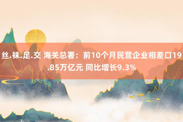 丝.袜.足.交 海关总署：前10个月民营企业相差口19.85万亿元 同比增长9.3%