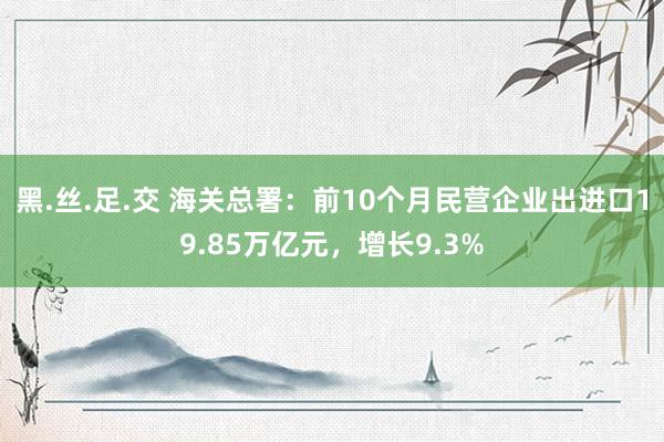 黑.丝.足.交 海关总署：前10个月民营企业出进口19.85万亿元，增长9.3%