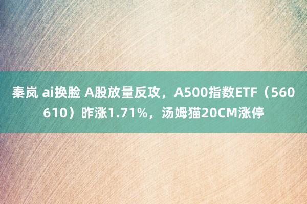 秦岚 ai换脸 A股放量反攻，A500指数ETF（560610）昨涨1.71%，汤姆猫20CM涨停