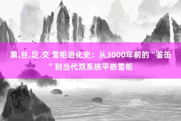 黑.丝.足.交 雪柜进化史：从3000年前的“鉴缶”到当代双系统平嵌雪柜