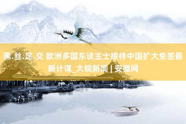 黑.丝.足.交 欧洲多国东谈主士接待中国扩大免签最新计谋_大皖新闻 | 安徽网