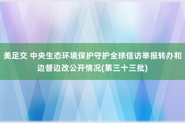 美足交 中央生态环境保护守护全球信访举报转办和边督边改公开情况(第三十三批)