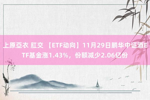 上原亞衣 肛交 【ETF动向】11月29日鹏华中证酒ETF基金涨1.43%，份额减少2.06亿份