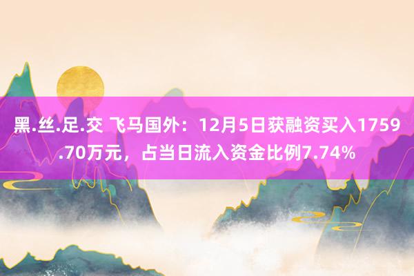 黑.丝.足.交 飞马国外：12月5日获融资买入1759.70万元，占当日流入资金比例7.74%