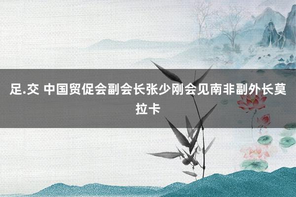 足.交 中国贸促会副会长张少刚会见南非副外长莫拉卡