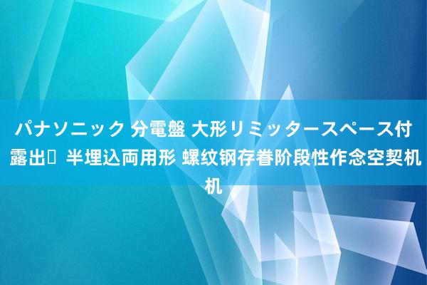 パナソニック 分電盤 大形リミッタースペース付 露出・半埋込両用形 螺纹钢存眷阶段性作念空契机