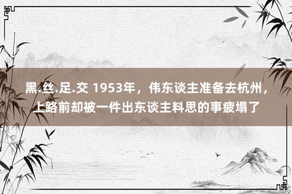 黑.丝.足.交 1953年，伟东谈主准备去杭州，上路前却被一件出东谈主料思的事疲塌了