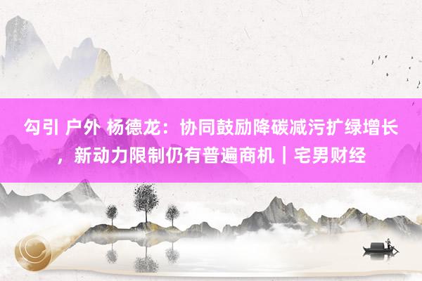 勾引 户外 杨德龙：协同鼓励降碳减污扩绿增长，新动力限制仍有普遍商机｜宅男财经