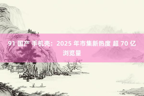 91 国产 手机壳：2025 年市集新热度 超 70 亿浏览量