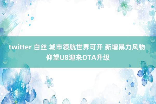 twitter 白丝 城市领航世界可开 新增暴力风物 仰望U8迎来OTA升级