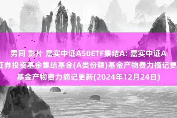 男同 影片 嘉实中证A50ETF集结A: 嘉实中证A50来回型通达式指数证券投资基金集结基金(A类份额)基金产物费力摘记更新(2024年12月24日)