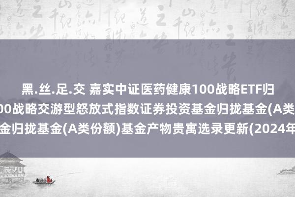 黑.丝.足.交 嘉实中证医药健康100战略ETF归拢A: 嘉实中证医药健康100战略交游型怒放式指数证券投资基金归拢基金(A类份额)基金产物贵寓选录更新(2024年12月24日)