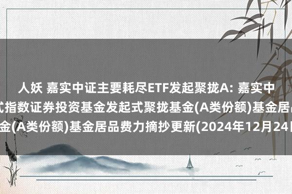 人妖 嘉实中证主要耗尽ETF发起聚拢A: 嘉实中证主要耗尽往返型灵通式指数证券投资基金发起式聚拢基金(A类份额)基金居品费力摘抄更新(2024年12月24日)