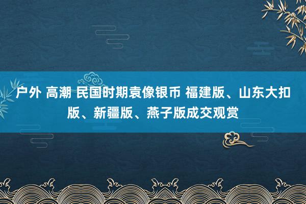 户外 高潮 民国时期袁像银币 福建版、山东大扣版、新疆版、燕子版成交观赏