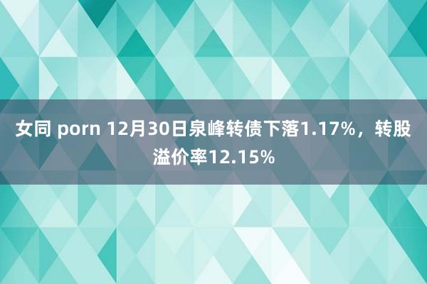 女同 porn 12月30日泉峰转债下落1.17%，转股溢价率12.15%