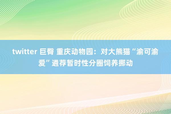 twitter 巨臀 重庆动物园：对大熊猫“渝可渝爱”遴荐暂时性分圈饲养挪动