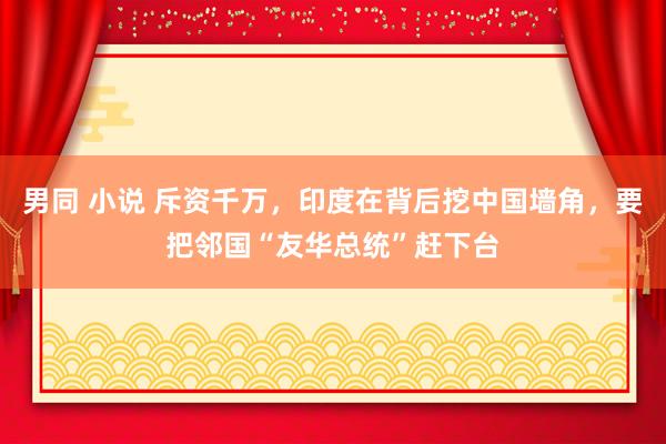 男同 小说 斥资千万，印度在背后挖中国墙角，要把邻国“友华总统”赶下台