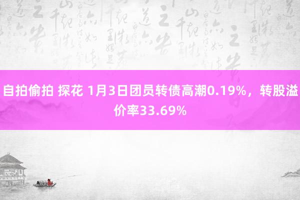 自拍偷拍 探花 1月3日团员转债高潮0.19%，转股溢价率33.69%