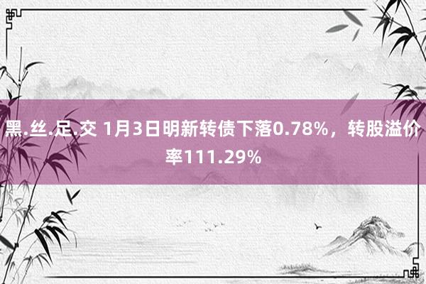 黑.丝.足.交 1月3日明新转债下落0.78%，转股溢价率111.29%