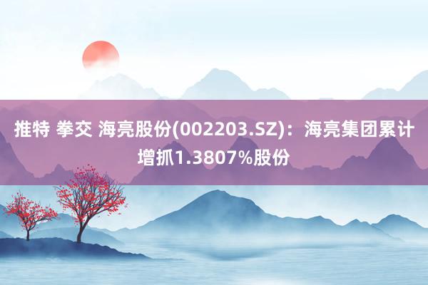 推特 拳交 海亮股份(002203.SZ)：海亮集团累计增抓1.3807%股份