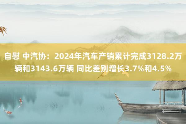 自慰 中汽协：2024年汽车产销累计完成3128.2万辆和3143.6万辆 同比差别增长3.7%和4.5%