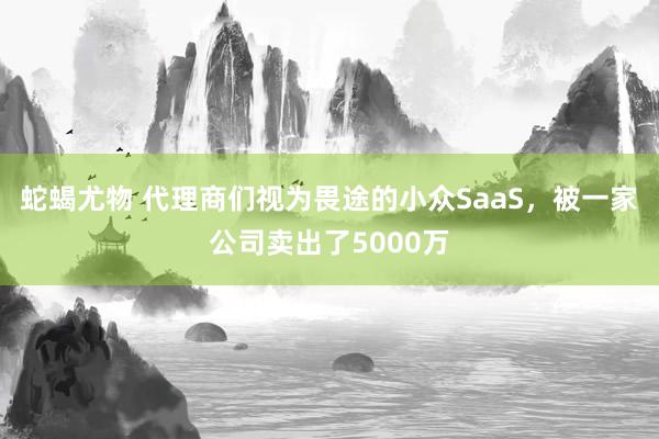 蛇蝎尤物 代理商们视为畏途的小众SaaS，被一家公司卖出了5000万