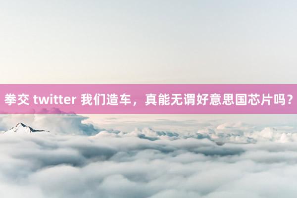 拳交 twitter 我们造车，真能无谓好意思国芯片吗？