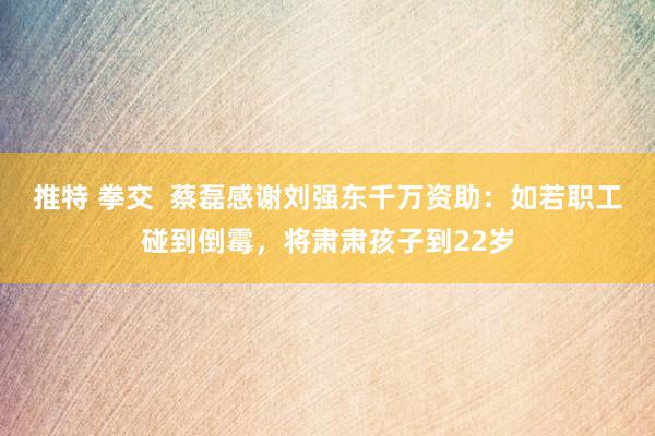 推特 拳交  蔡磊感谢刘强东千万资助：如若职工碰到倒霉，将肃肃孩子到22岁