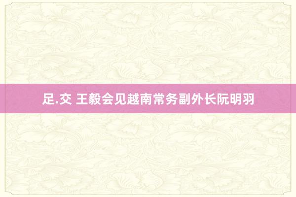 足.交 王毅会见越南常务副外长阮明羽